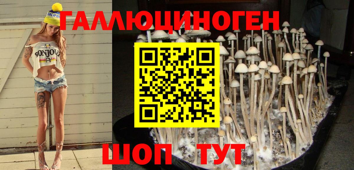 Галлюциногенные грибы мухоморы  где купить наркоту  Александров  Псилоцибиновые грибы Psilocybe  Вход с VPN 